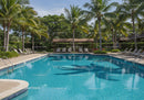 Luxury Tropical Poolside Scene with Palm Trees and Lounge Chairs