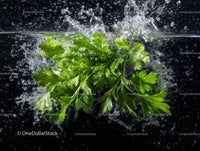 Fresh Green Parsley Leaves Splashing in Water
