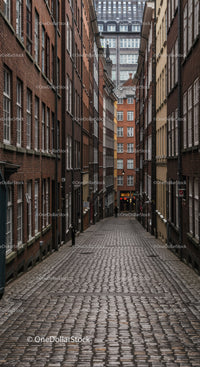 Narrow Cobblestone Alley Between Historic Brick Buildings in City