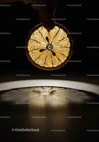 Backlit dried lemon slice casting soft shadow