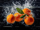 Bright oranges with fresh green leaves in water splash