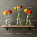 Bright Ranunculus Flower Arrangement in Clear Glass Vases for Modern Interior