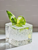Cube of clear ice with fresh green leaves inside