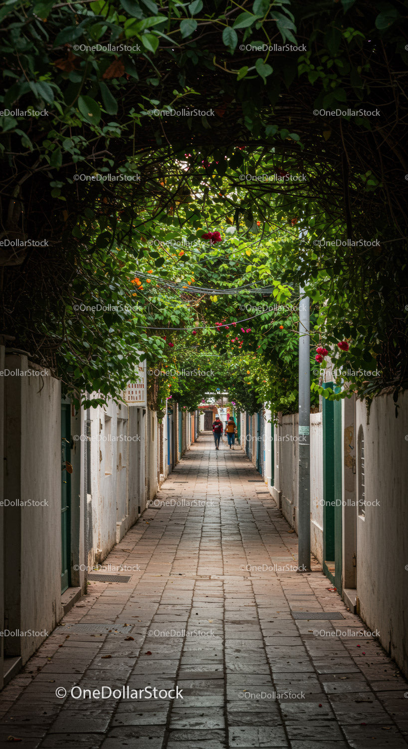 Flowering Vines Over Green Leafy Archway in Quiet Urban Alley