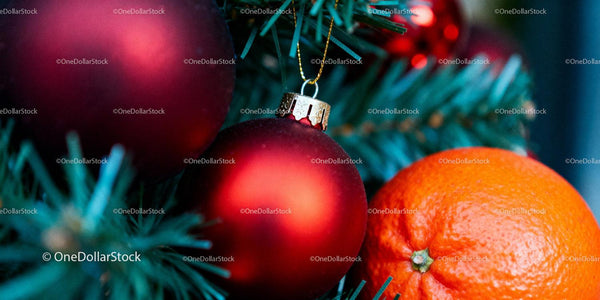 Festive red baubles and fresh orange on pine tree