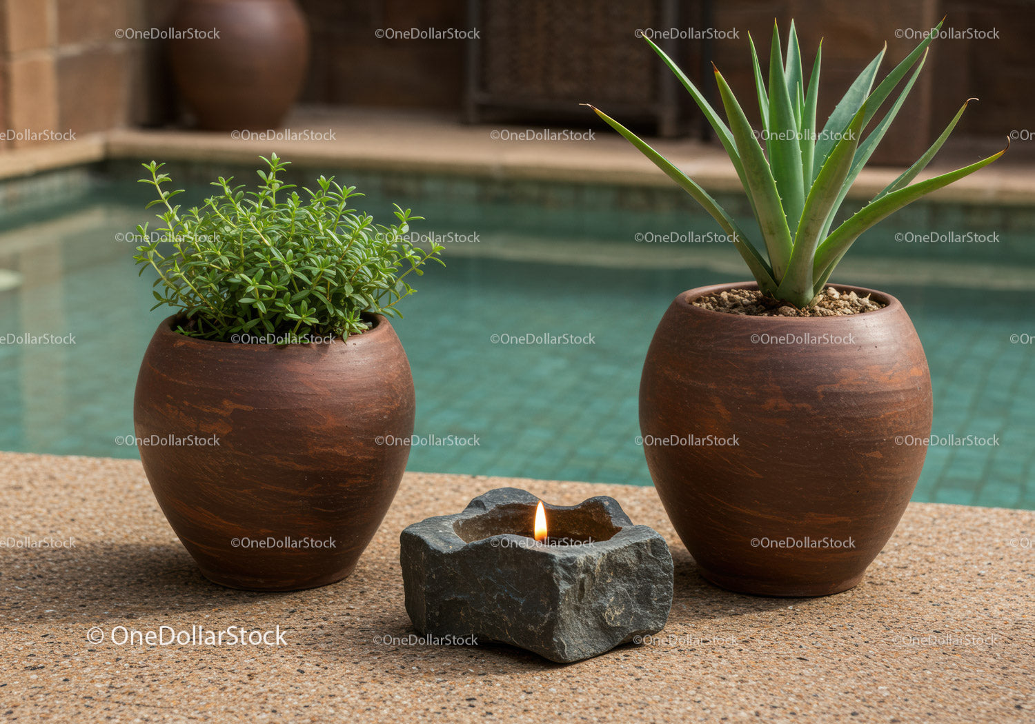 Succulent and Aloe Vera Plants in Terracotta Pots with Stone Candle Holder