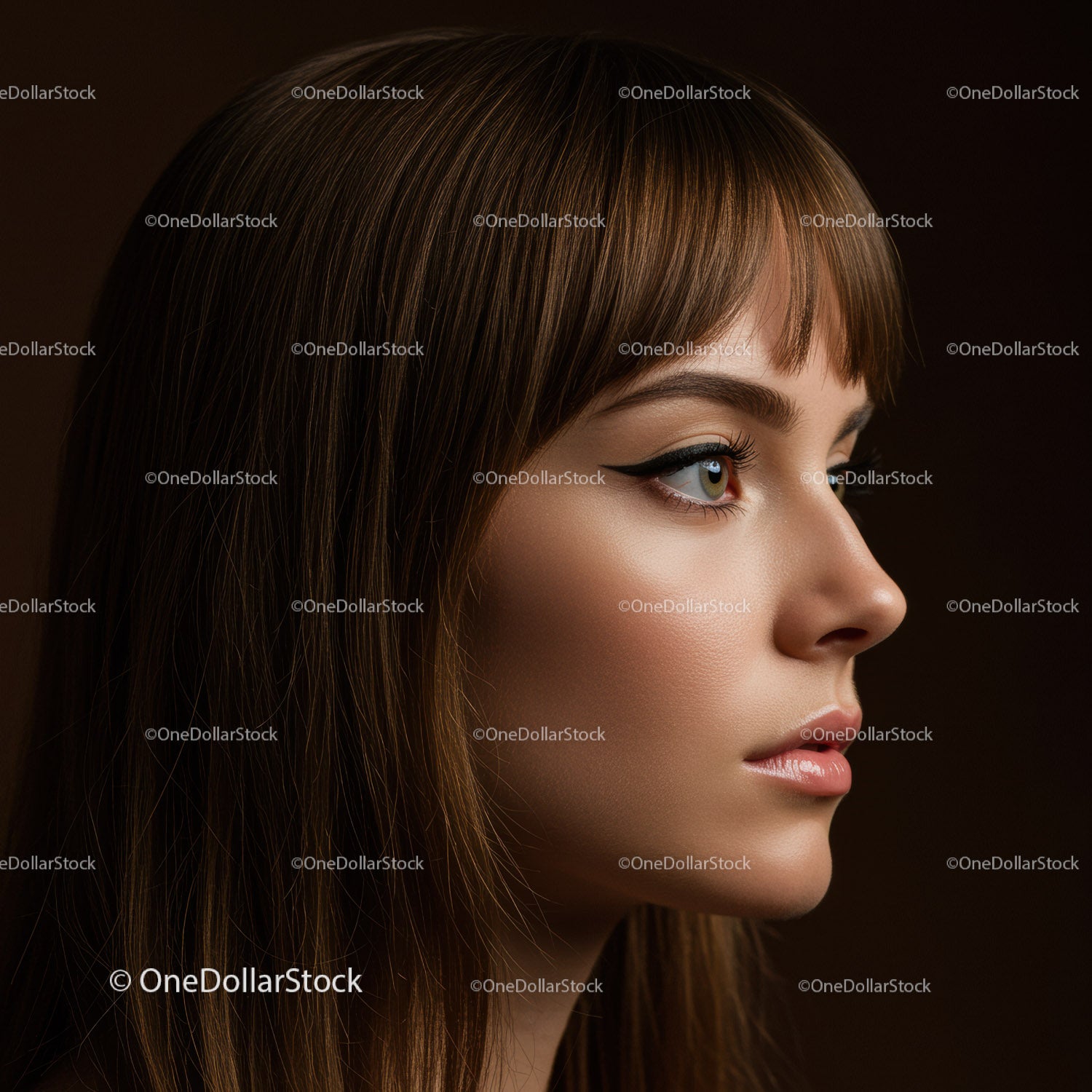 Elegant Woman with Black Eyeliner and Brunette Hair in Beauty Portrait
