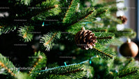 Pinecone Ornament Hanging on Festive Christmas Tree