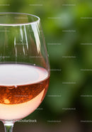 Close Up of Rosé Wine in Glass with Green Background