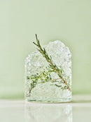 Ice Cube with Green Herb Inside on Light Green Background