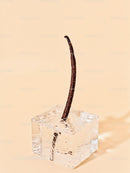 Vanilla bean embedded in clear melting ice cube