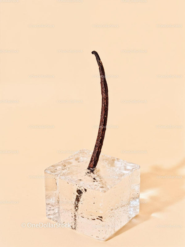 Vanilla bean embedded in clear melting ice cube
