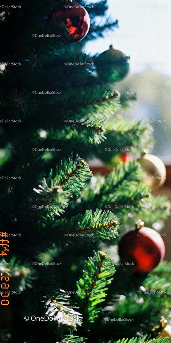 Close-up of Christmas tree with colorful ornaments