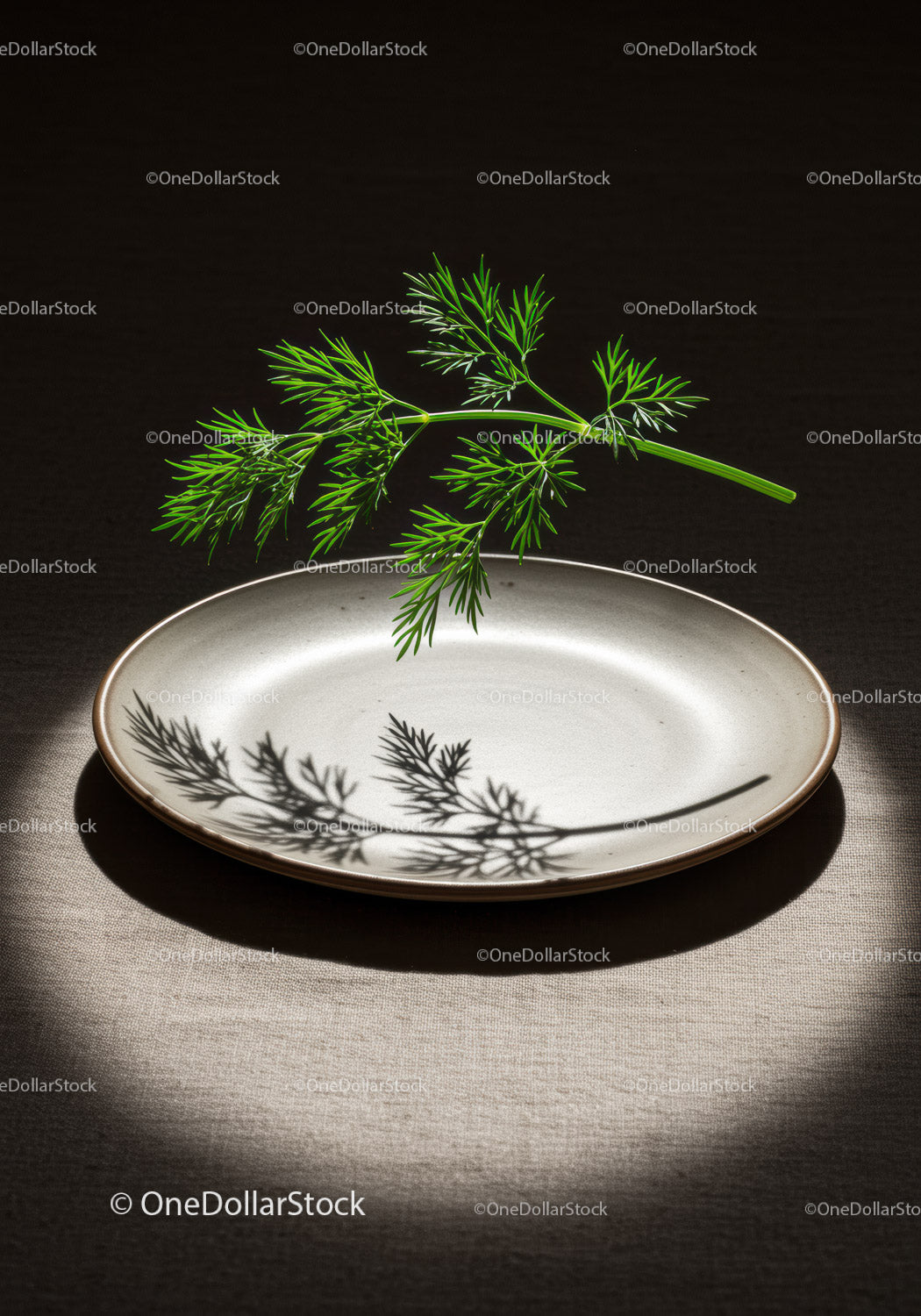 Świeży koperek rzucający cień na pusty ceramiczny talerz