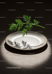 Fresh dill casting shadow on empty ceramic plate