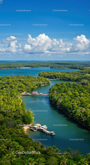 Scenic River in Tropical Jungle with Lush Greenery and Boats