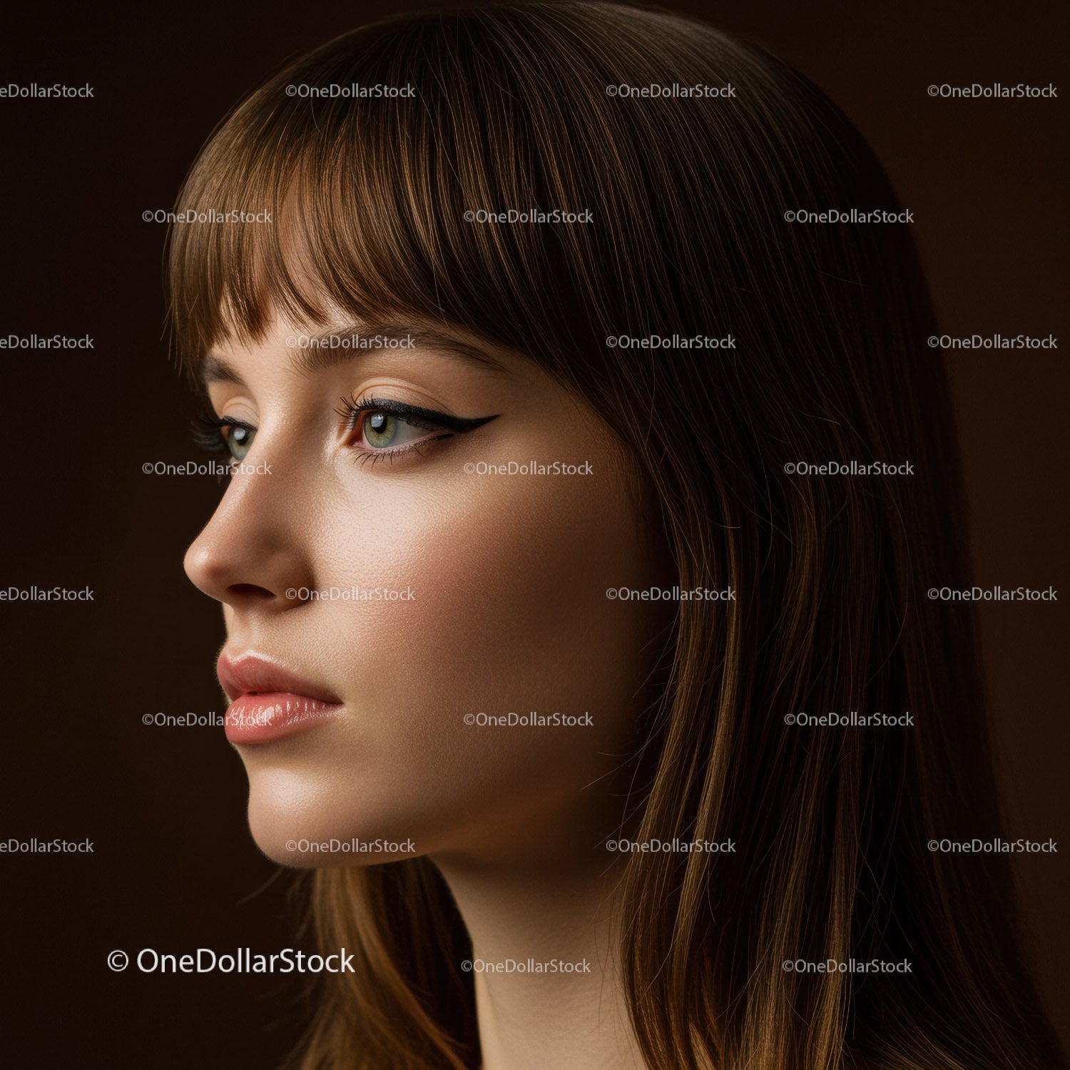 Elegant Woman with Winged Eyeliner and Stylish Hair Portrait