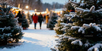 Snow covered fir trees in winter holiday market