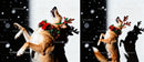 Festive dog wearing reindeer antlers and holiday garland
