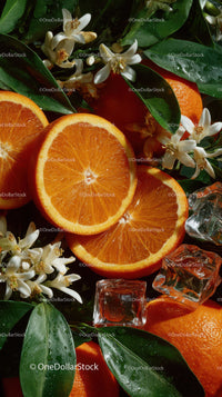 Fresh Orange Slices with Green Leaves and White Flowers