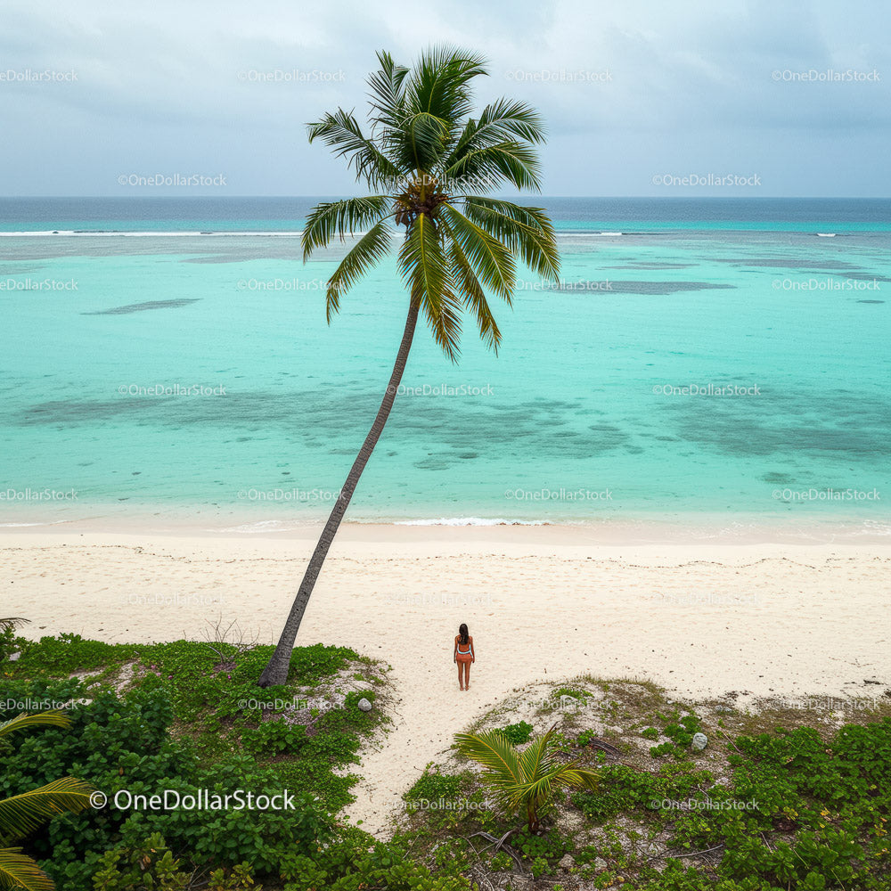Lonely Traveler on a Tropical Beach Under a Palm Tree