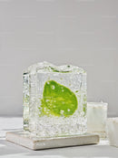 Fresh lime slice captured inside clear ice cube