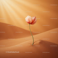 Delicate flower blooming in warm desert dunes