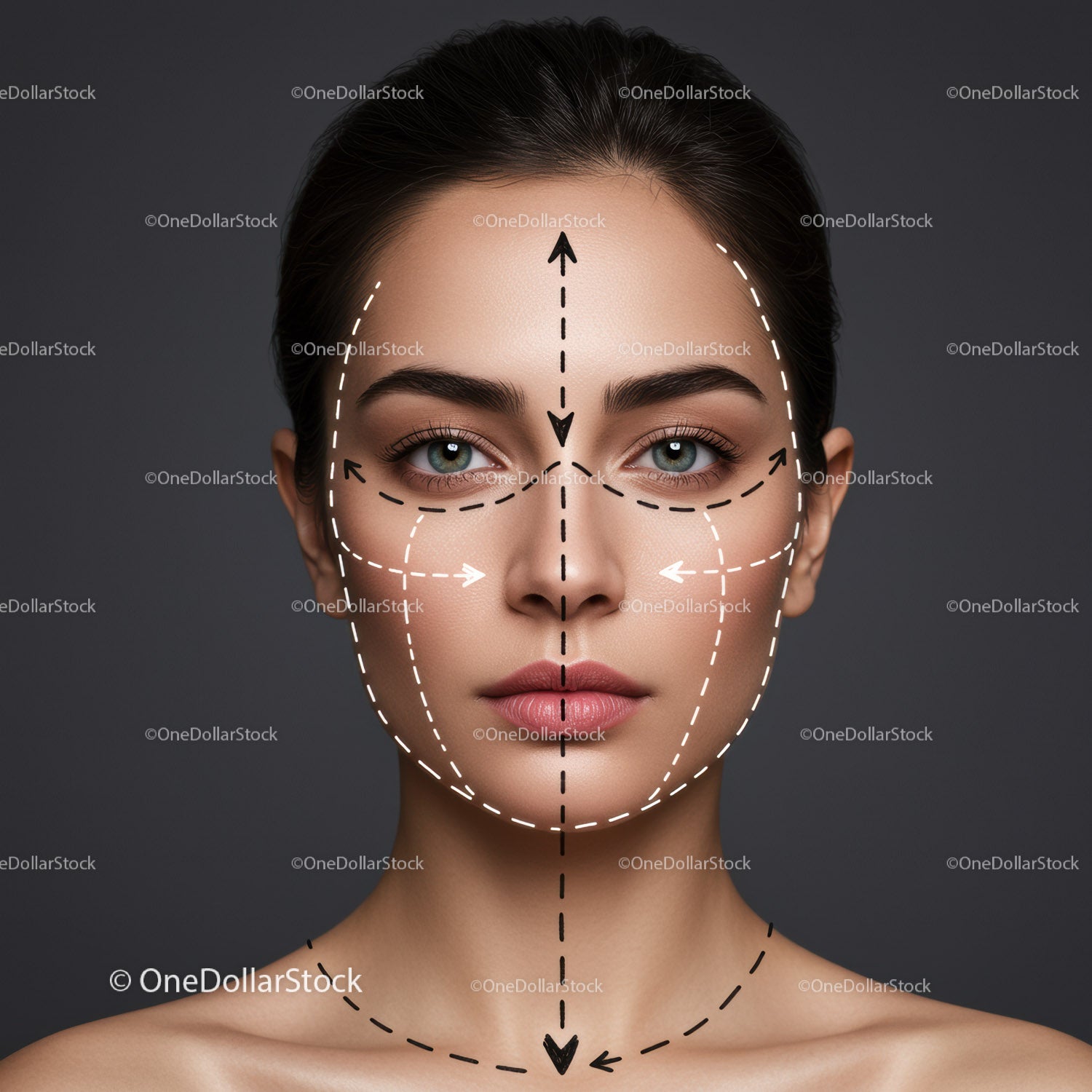 Professional Female Face with Facial Contour Mapping for Cosmetics