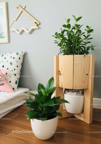Bright Indoor Room Featuring Green Foliage and Modern Decor