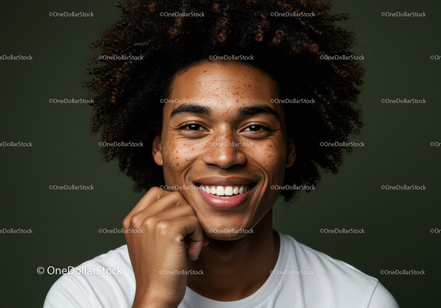 Portrait of a Smiling African American Woman with Curly Hair