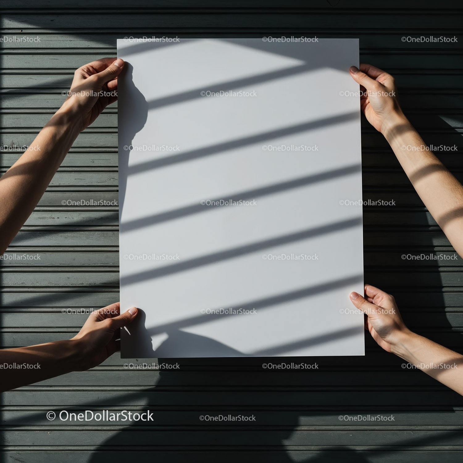 Hands Holding Blank Poster with Shadow Patterns