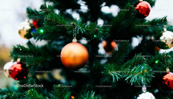 Close-up of Christmas tree with colorful baubles