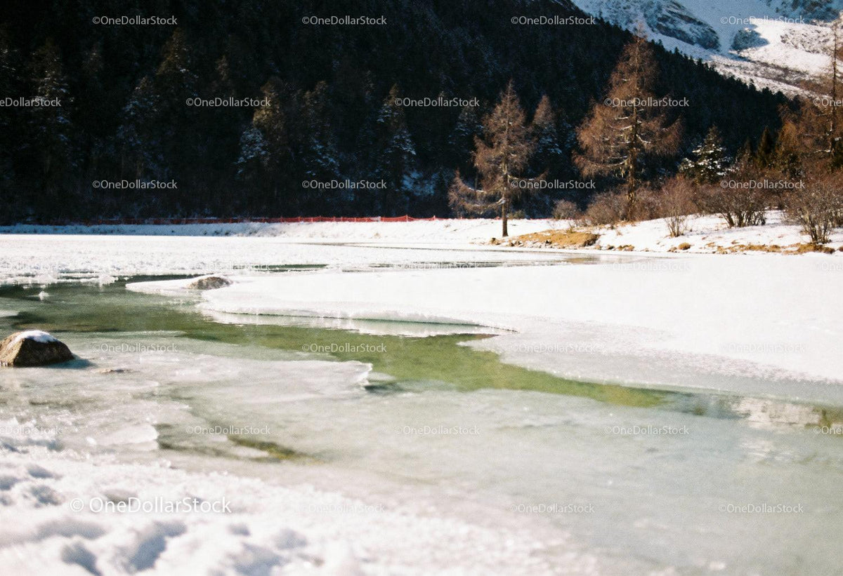 Frozen mountain lake with snow and trees in winter