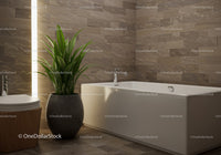 Modern Bathroom with Green Plant and White Bathtub in Elegant Interior