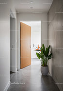 Modern Interior with Wooden Door and Green Indoor Plant