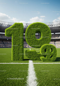 Percentage sign made of grass on football field line