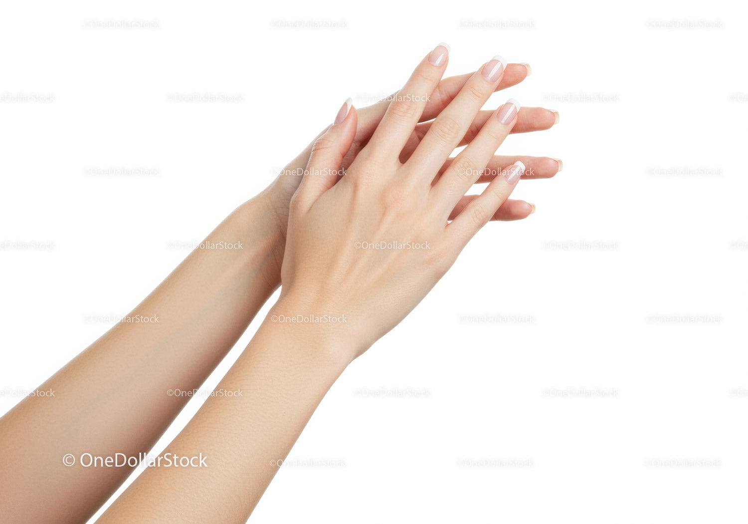 Female hands with natural French manicure on white background