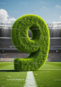 Large Grass Number Nine Displayed on Football Field
