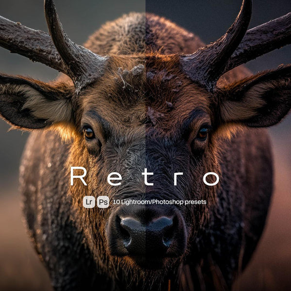 Retro Presets (10 XMP files)