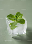 Fresh mint leaf frozen inside a clear ice cube