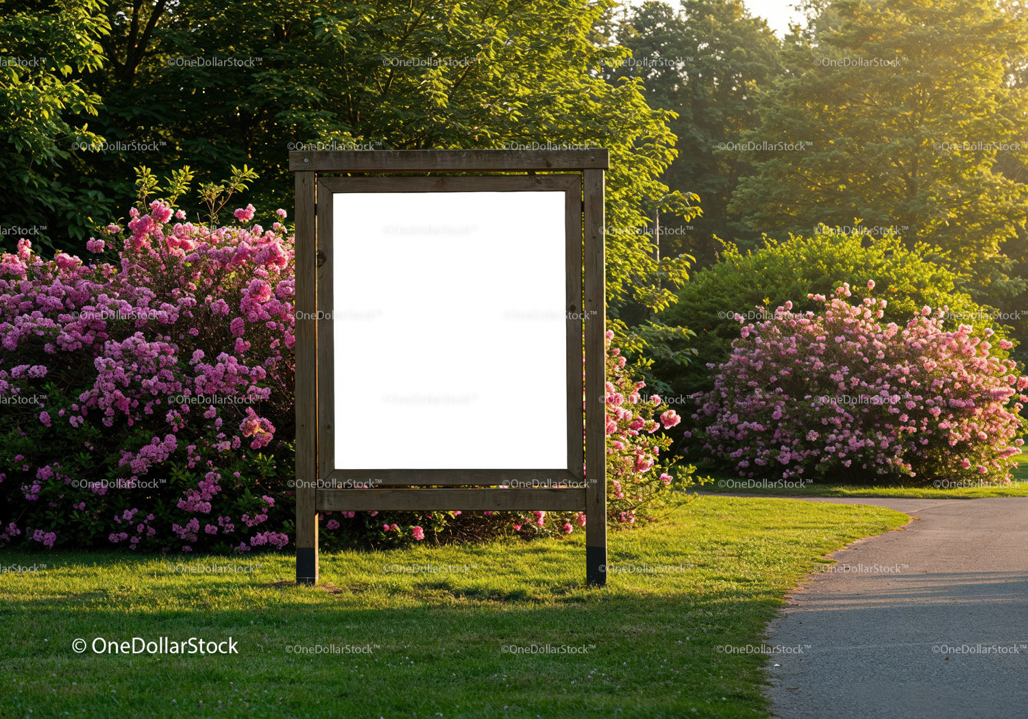 Empty wooden signboard in blooming park with evening light