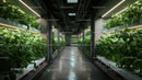 Indoor Greenhouse with Lush Green Plants and Modern Lighting