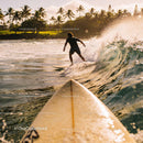 Surfer Riding Wave at Sunset with Palm Trees
