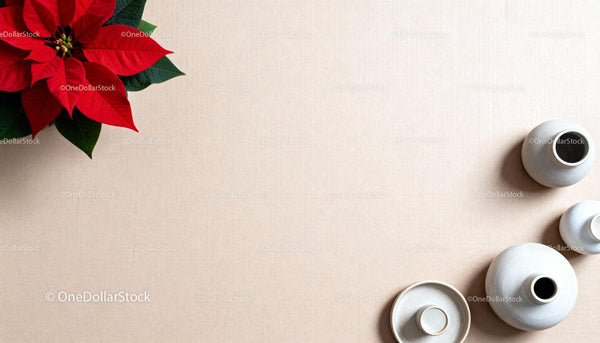 Minimalist Christmas decor with poinsettia and ceramic vases