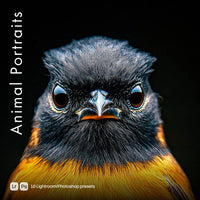 Animal Portraits Lightroom presets cover preview