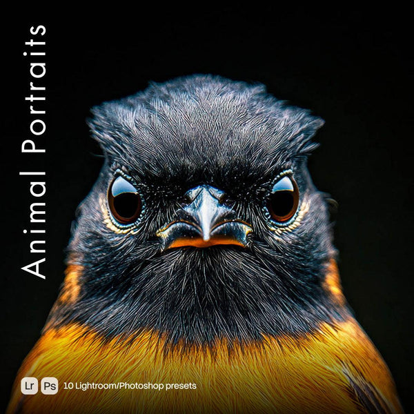 Animal Portraits Presets (10 XMP files)