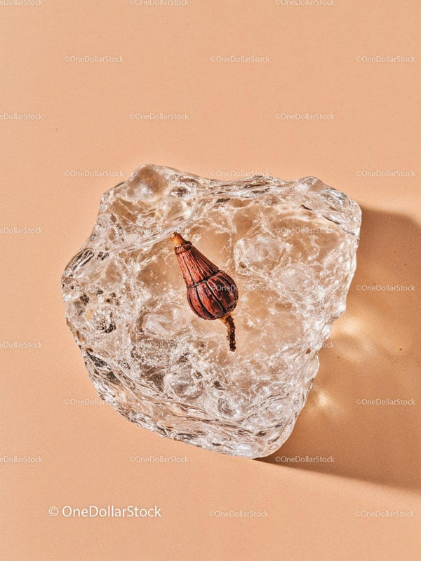 Clove frozen inside a clear ice cube on beige surface