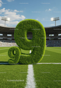 Large Grass-Covered Number Nine on Soccer Field