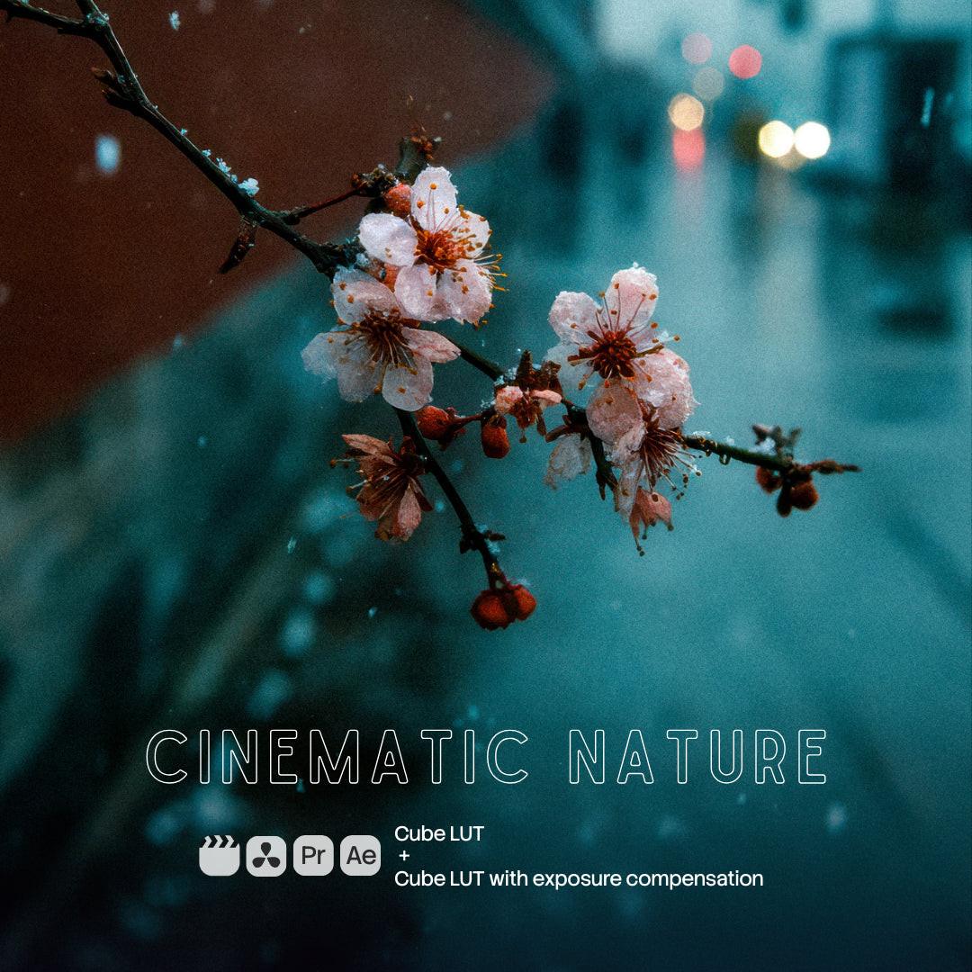 Cinematic Nature LUT Pack preview