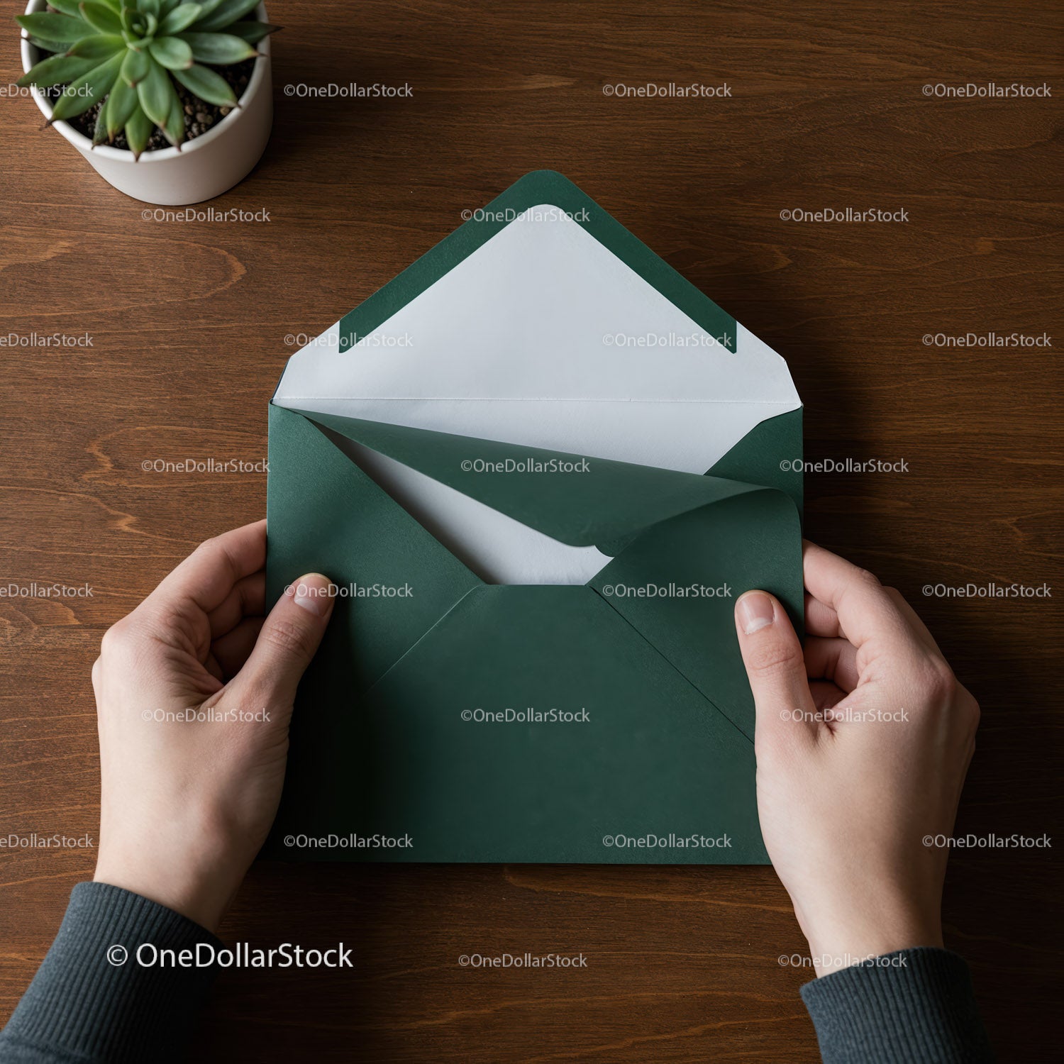 Person Holding Open Dark Green Envelope on Wooden Desk